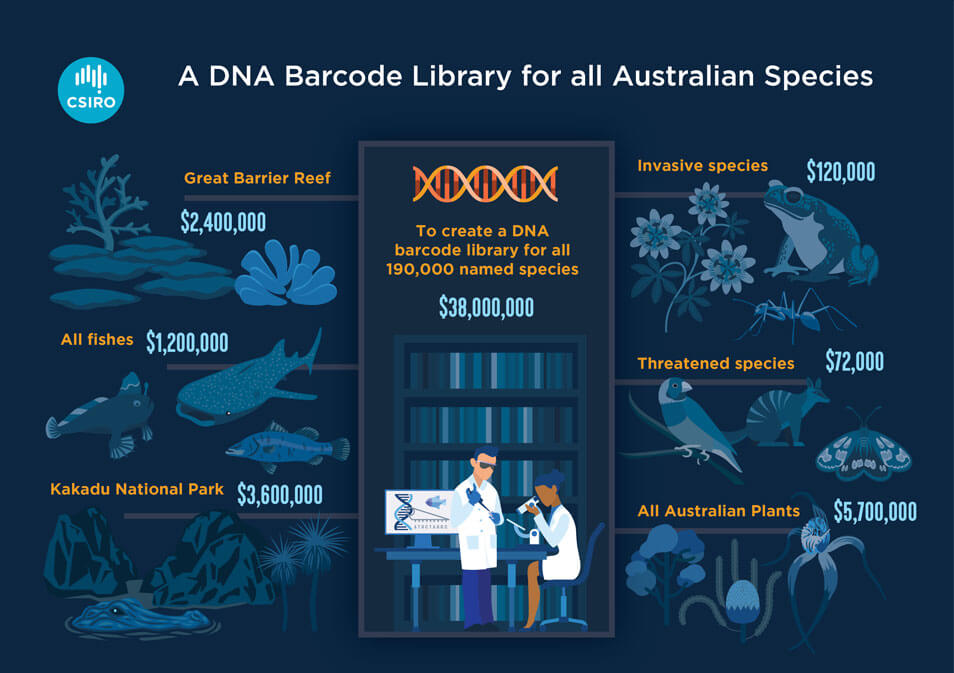 DNA-Barcode-Library