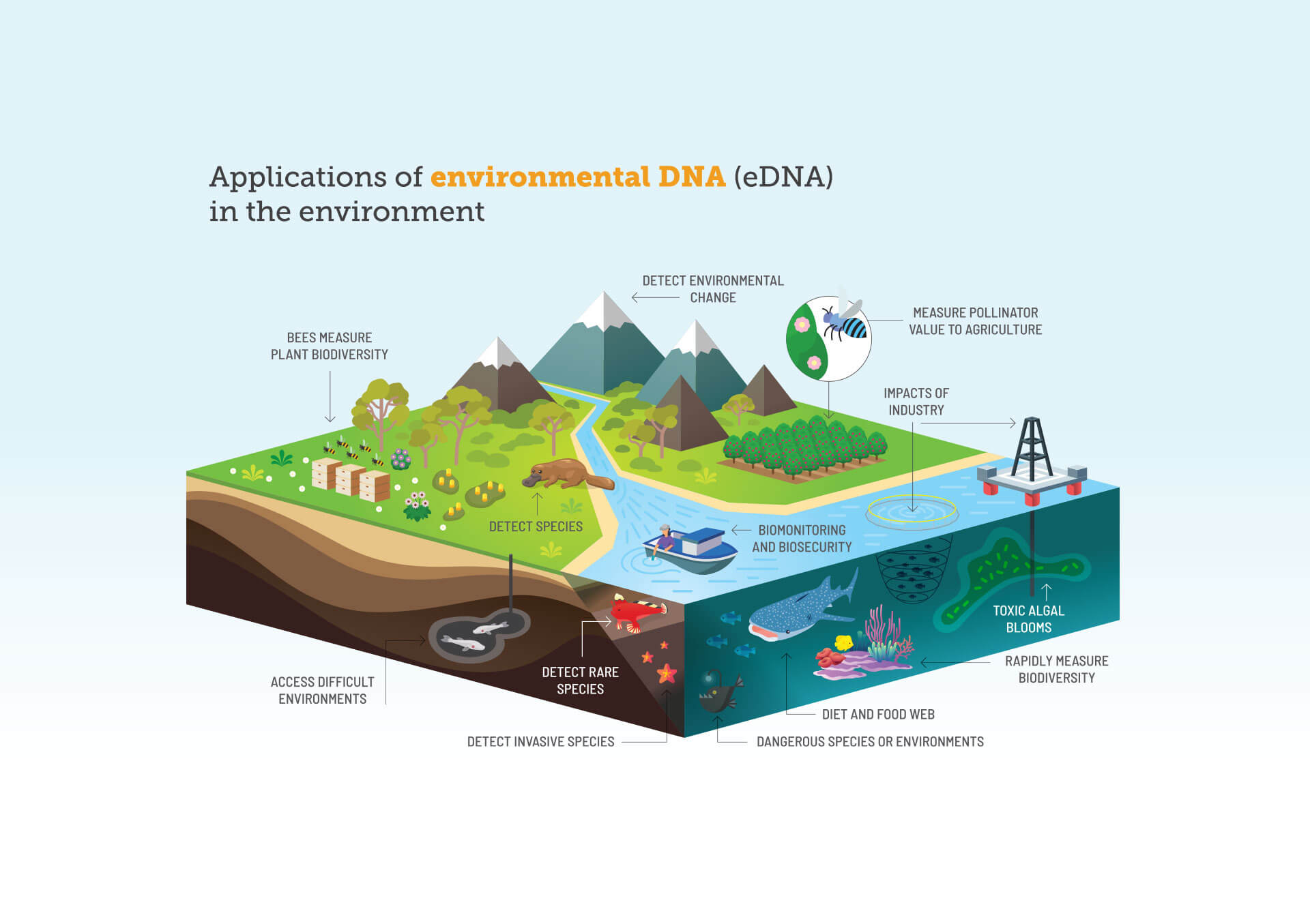 EDNA-Infographic